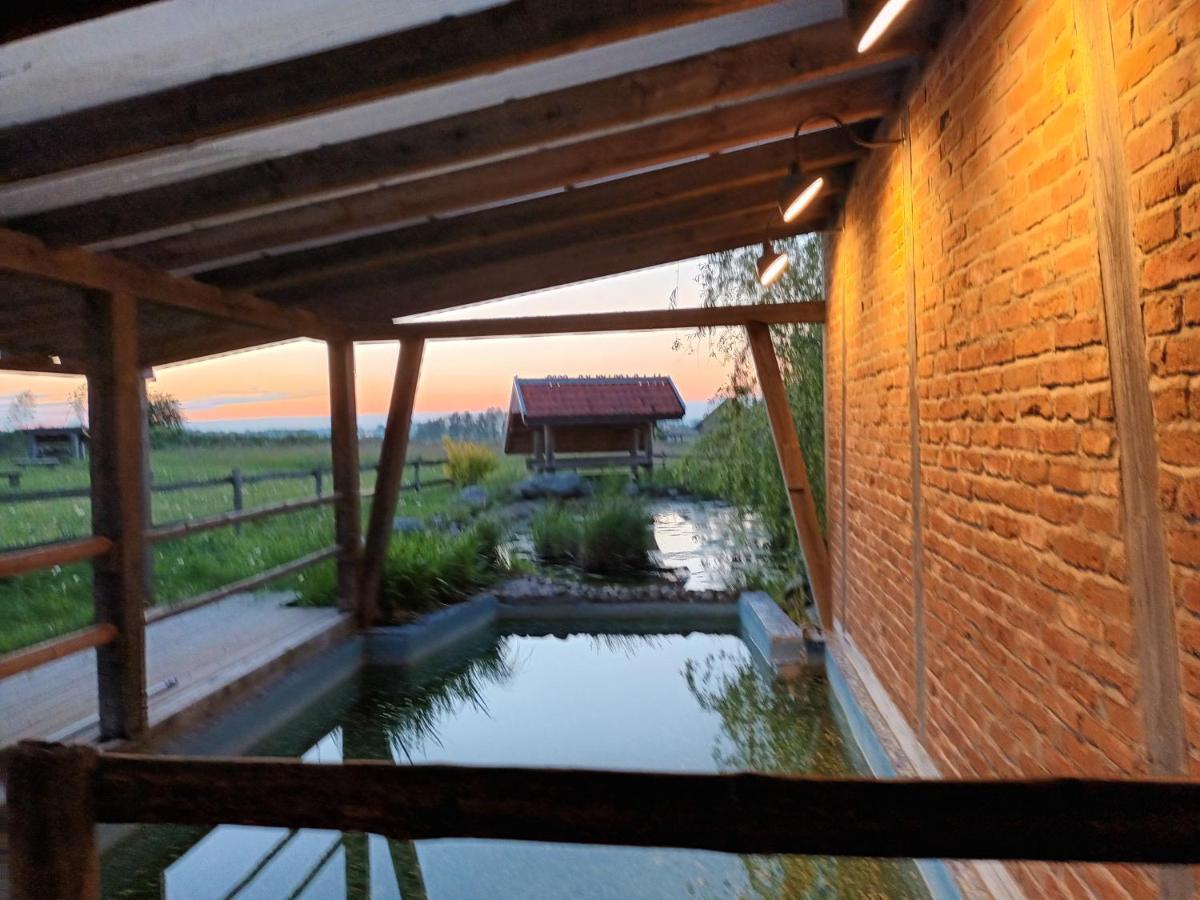 Dom Habass Villa Zdory Exterior foto